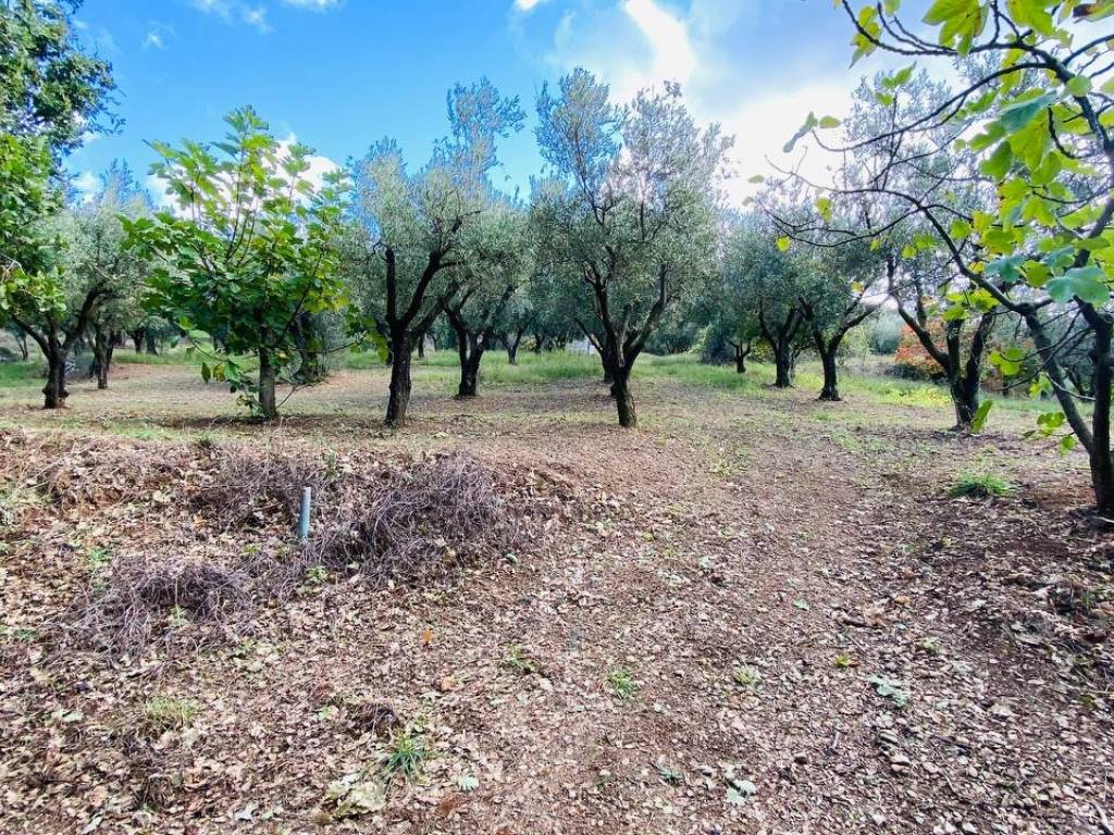 Terreno a Lamezia terme in Via per Piano Luppi - Foto 3