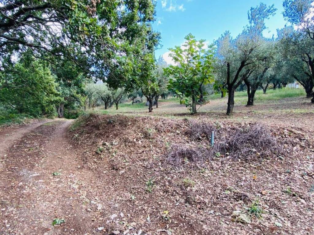 Terreno a Lamezia terme in Via per Piano Luppi - Foto 4