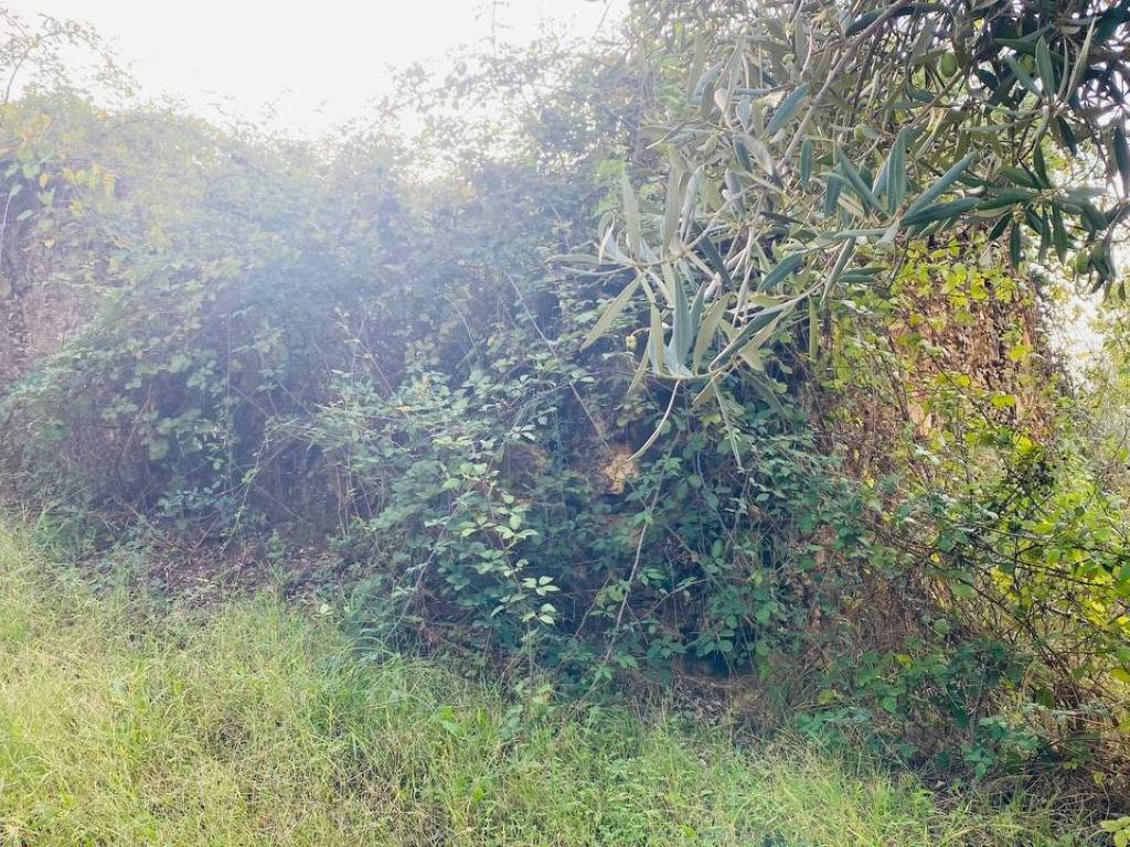 Terreno a Lamezia terme in Via per Piano Luppi - Foto 5