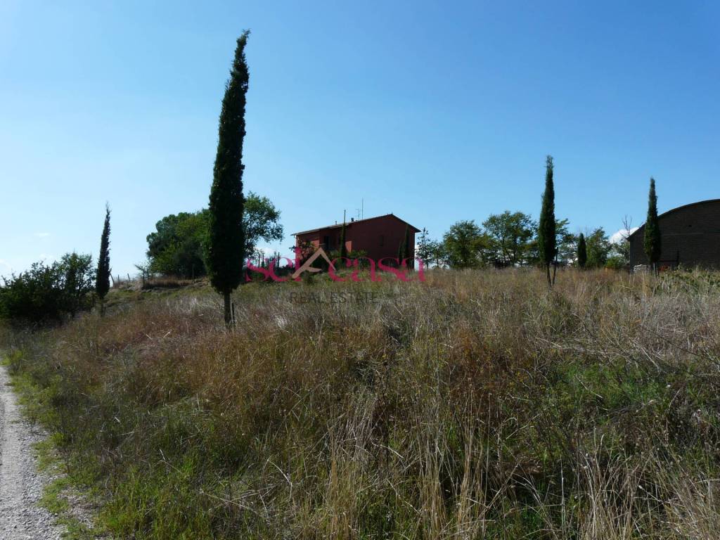 Immobile a Cinigiano in Borgo Santa Rita - Foto 4