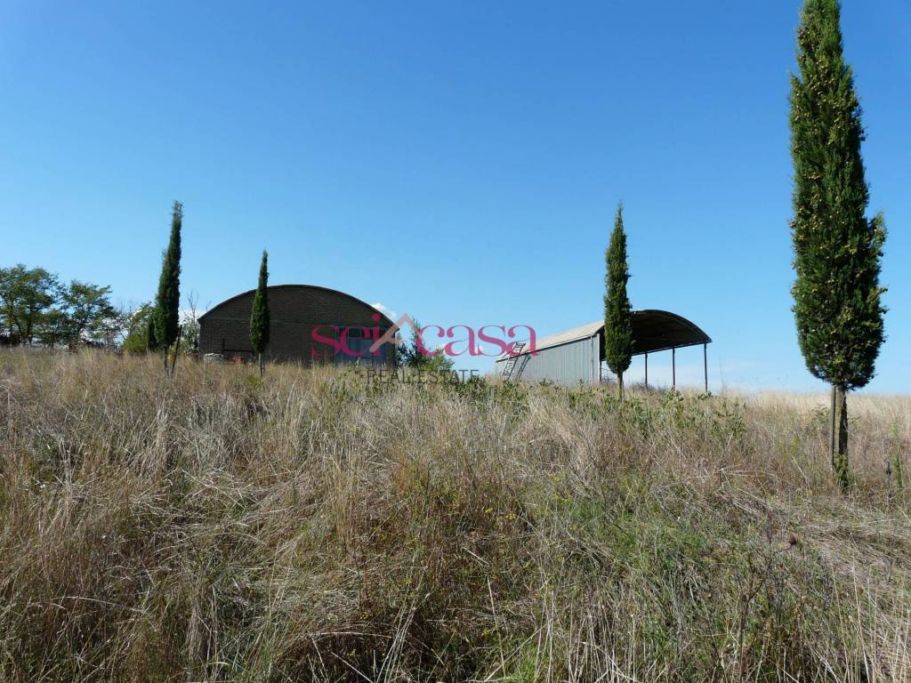 Immobile a Cinigiano in Borgo Santa Rita - Foto 5
