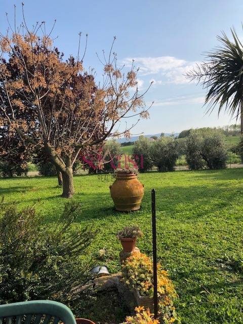 Rustico / casale a Magliano in toscana in Località Sant'Andrea - Foto 3