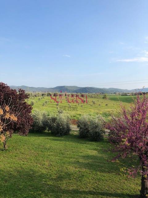 Rustico / casale a Magliano in toscana in Località Sant'Andrea - Foto 5