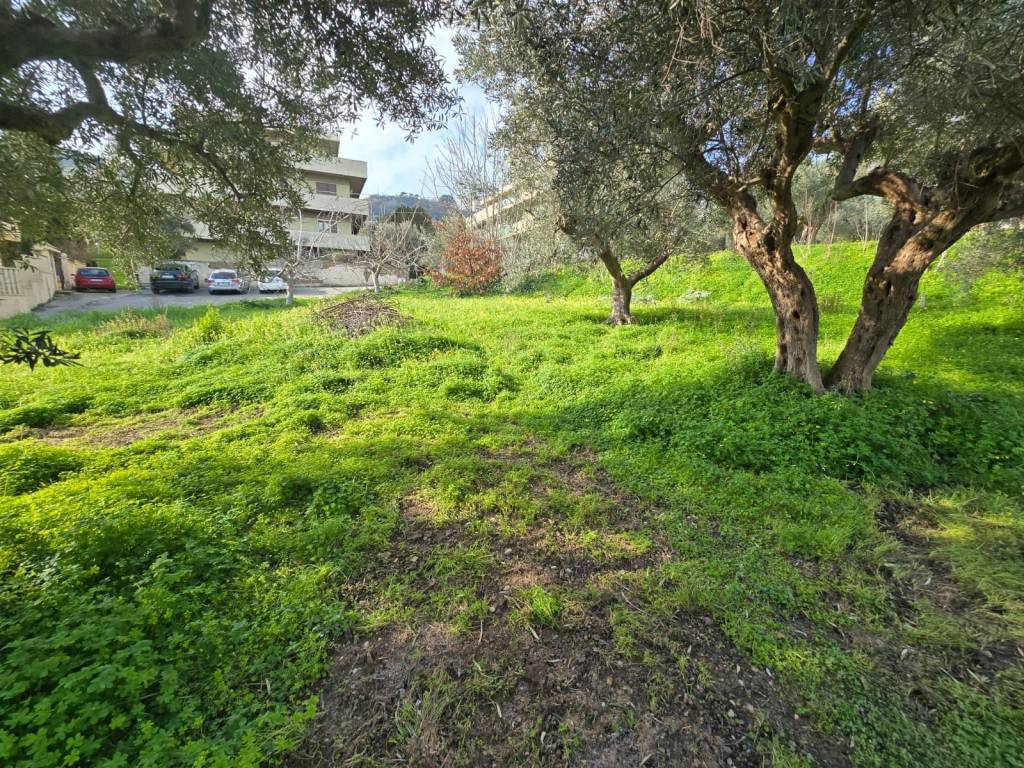 Terreno a Pescara in Via Strada Fonte Borea - Foto 2