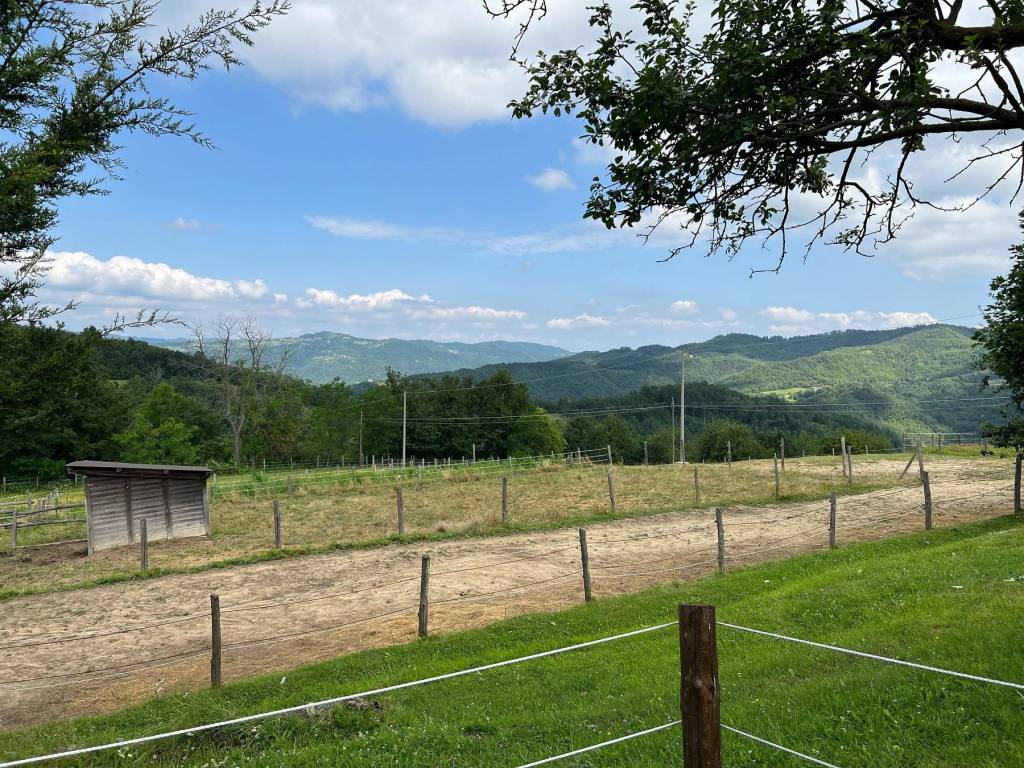 Rustico / casale a Dego in Località Rua Costa, 2 - Foto 3
