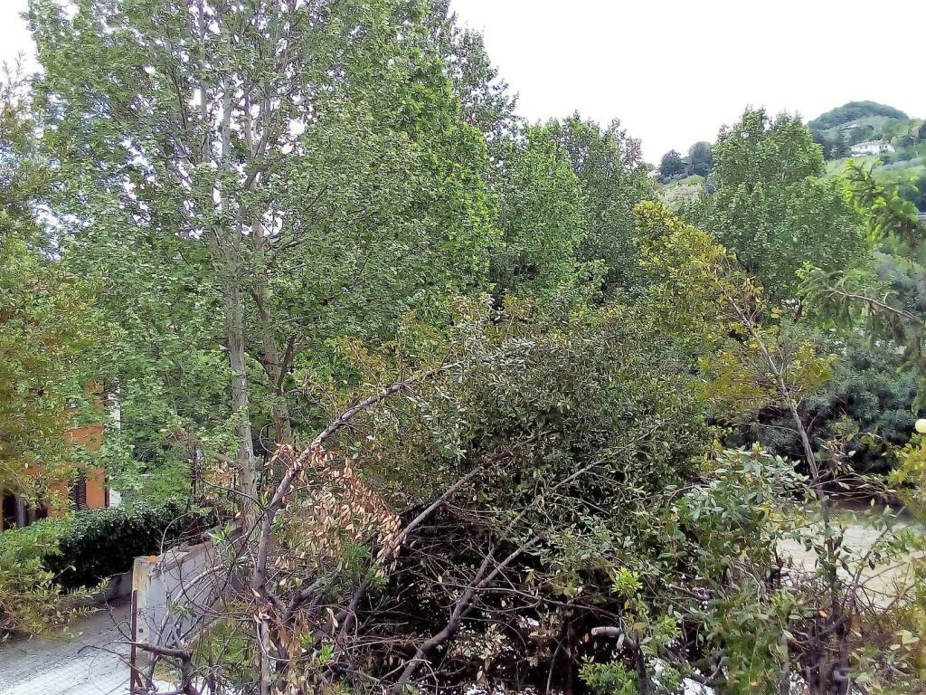 Appartamento a Ascoli piceno in via giulio salvadori - Foto 4