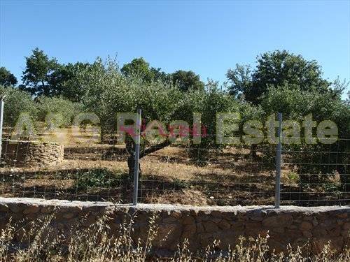 Immobile a Magliano in toscana in Grosseto-Cupi - Foto 3