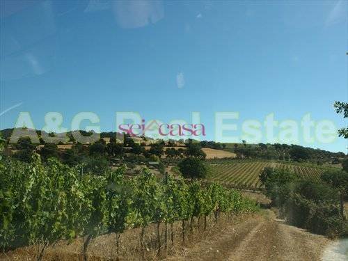 Immobile a Magliano in toscana in Grosseto-Cupi - Foto 5