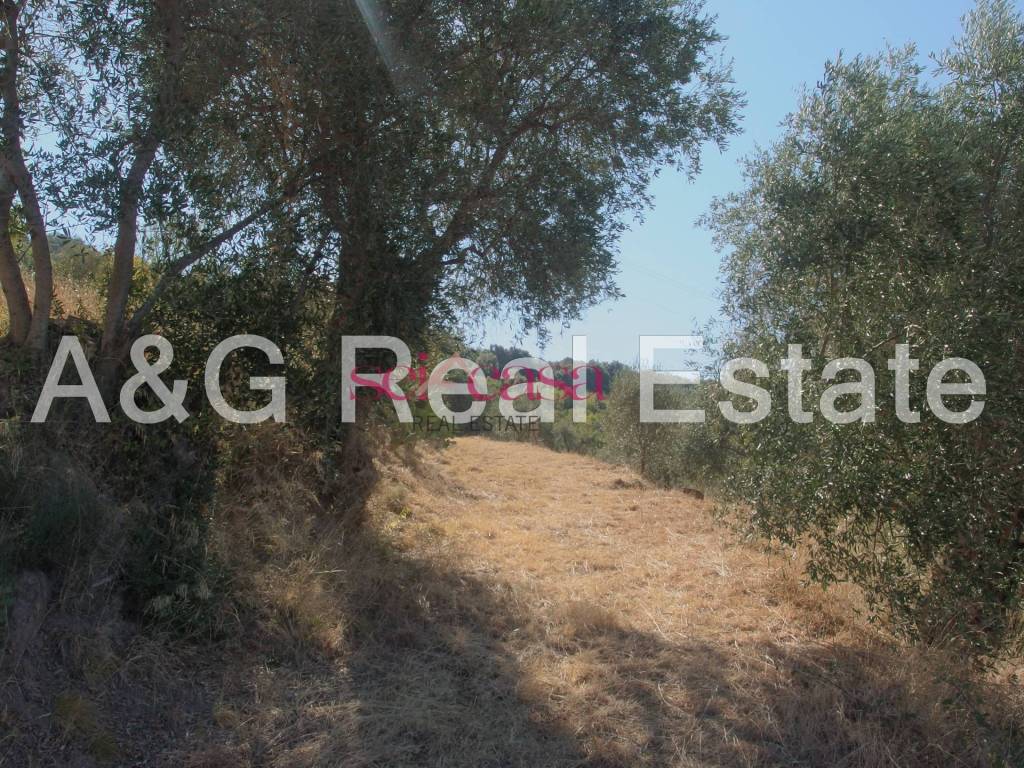 Terreno a Roccastrada in Sticciano - Foto 3