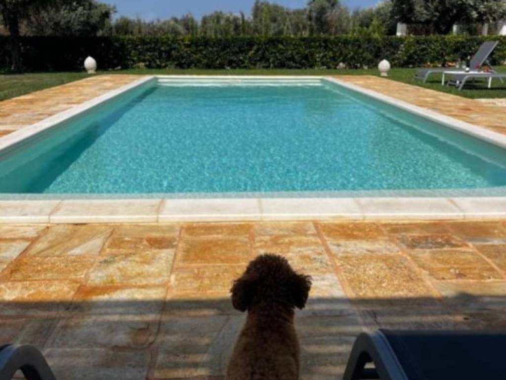 Villa a Sannicola in Strada Vicinale Tre Fornelle - Foto 3
