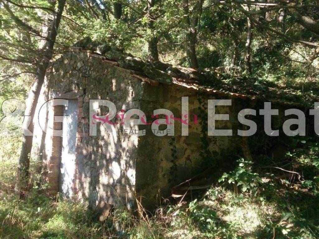 Terreno a Arcidosso in Arcidosso - Foto 3