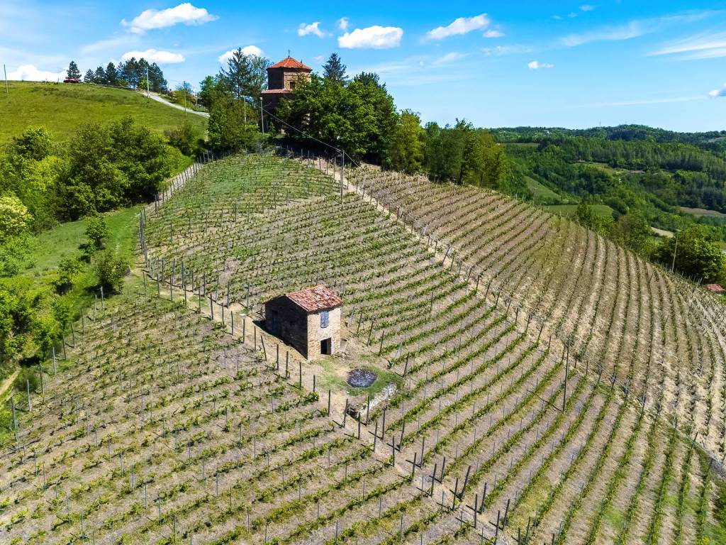 Terreno a Bubbio in Regione San Grato - Foto 4