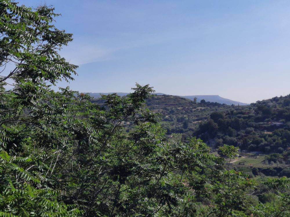 Villa a Noto in Via Angelo Cavarra, 136 - Foto 5