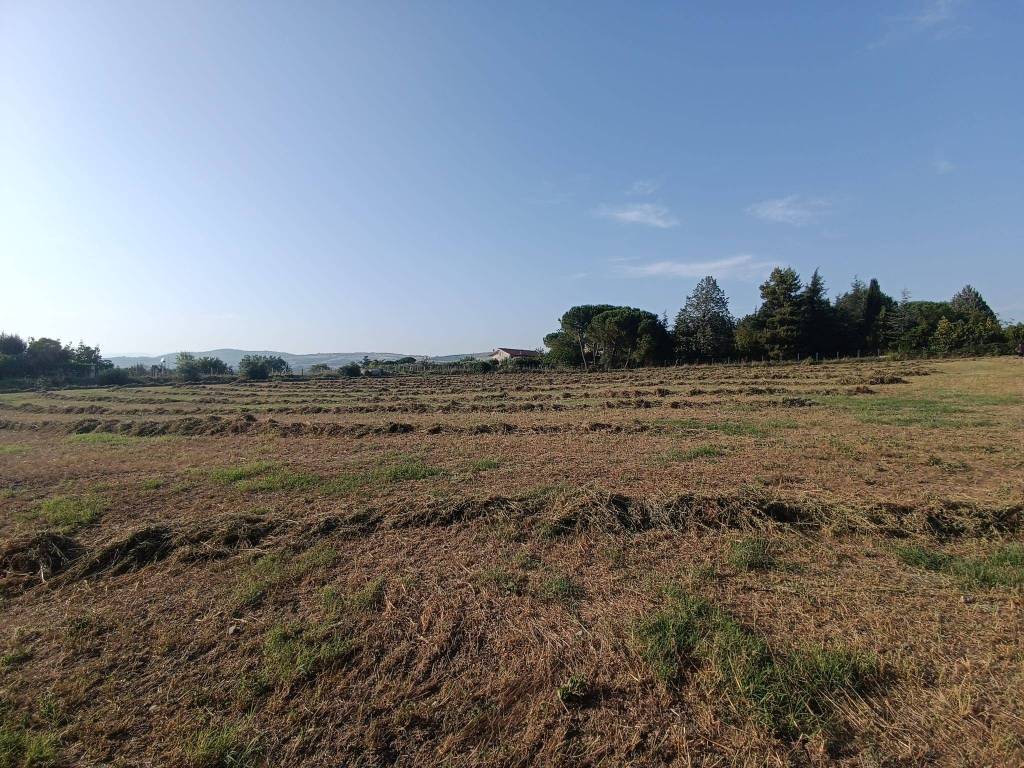 Terreno a Benevento in Contrada San Chirico - Foto 5