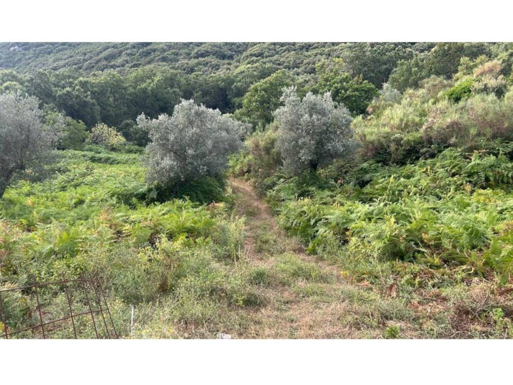 Terreno a Capaccio paestum in Via Nocito - Foto 3