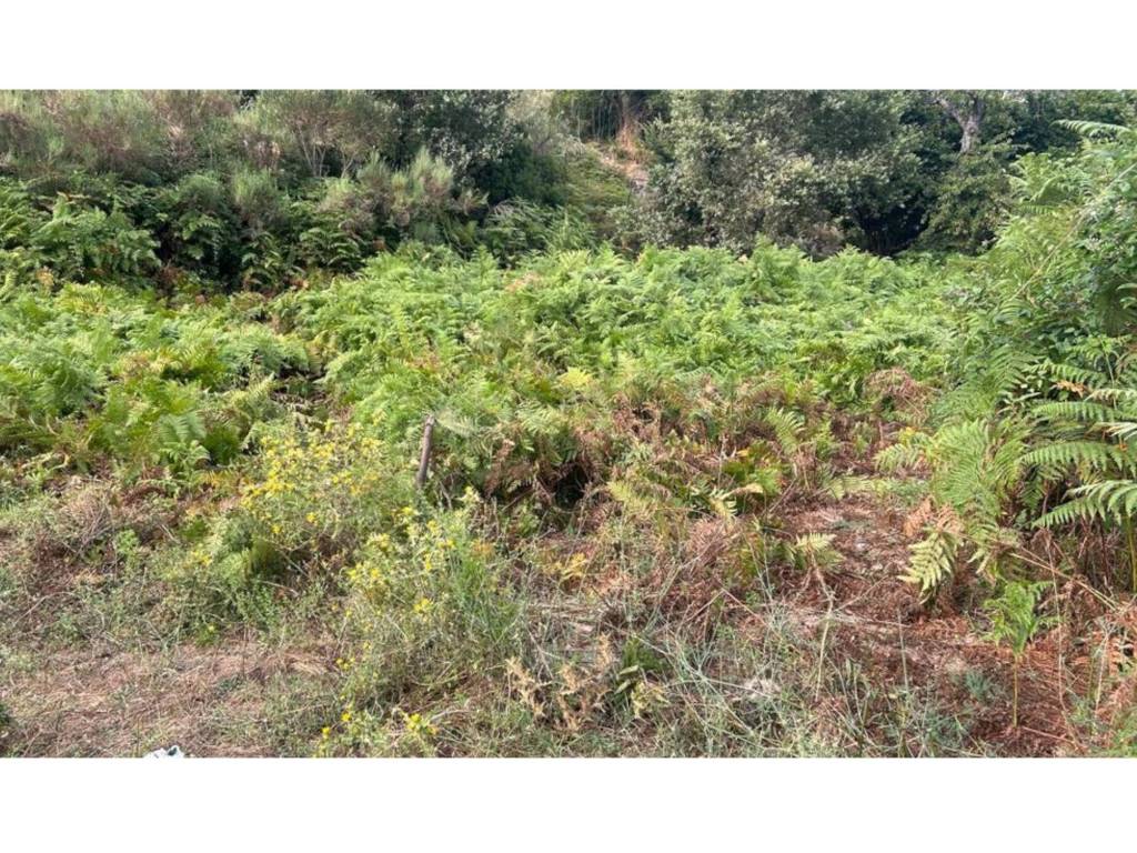 Terreno a Capaccio paestum in Via Nocito - Foto 4