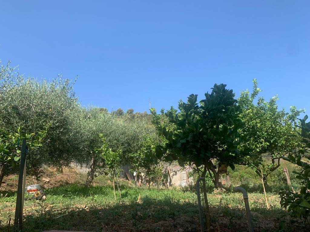 Appartamento a Ventimiglia in Bevera - Foto 4