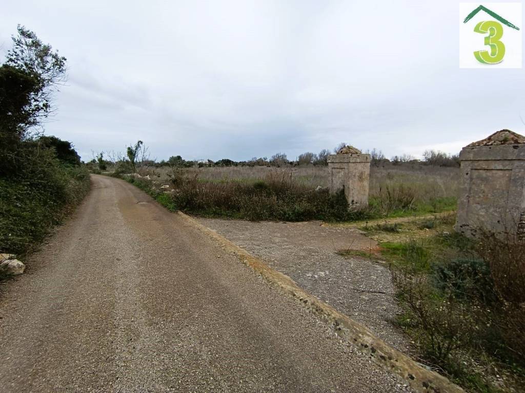 Terreno a Salve in Strada Vicinale Masseria Simone - Foto 3