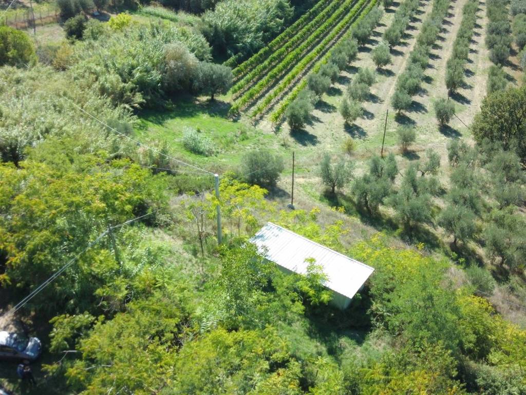 Terreno a Mosciano sant'angelo in strada provinciale 12 - Foto 4