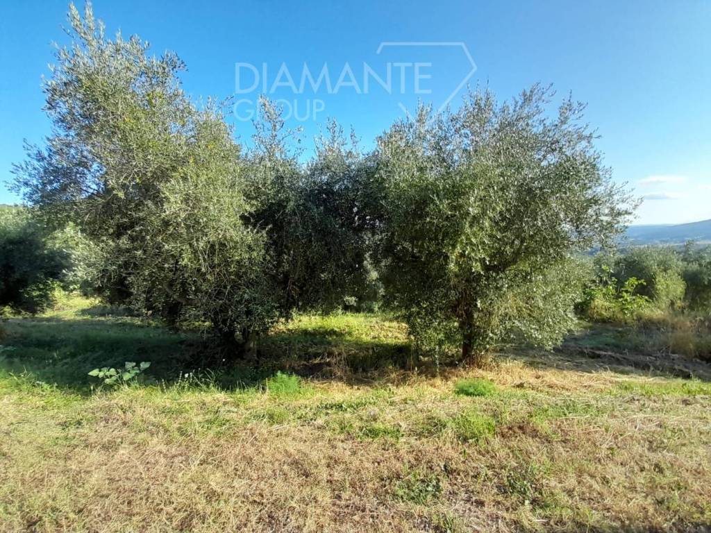 Rustico / casale a Panicale in Panicale - Foto 2