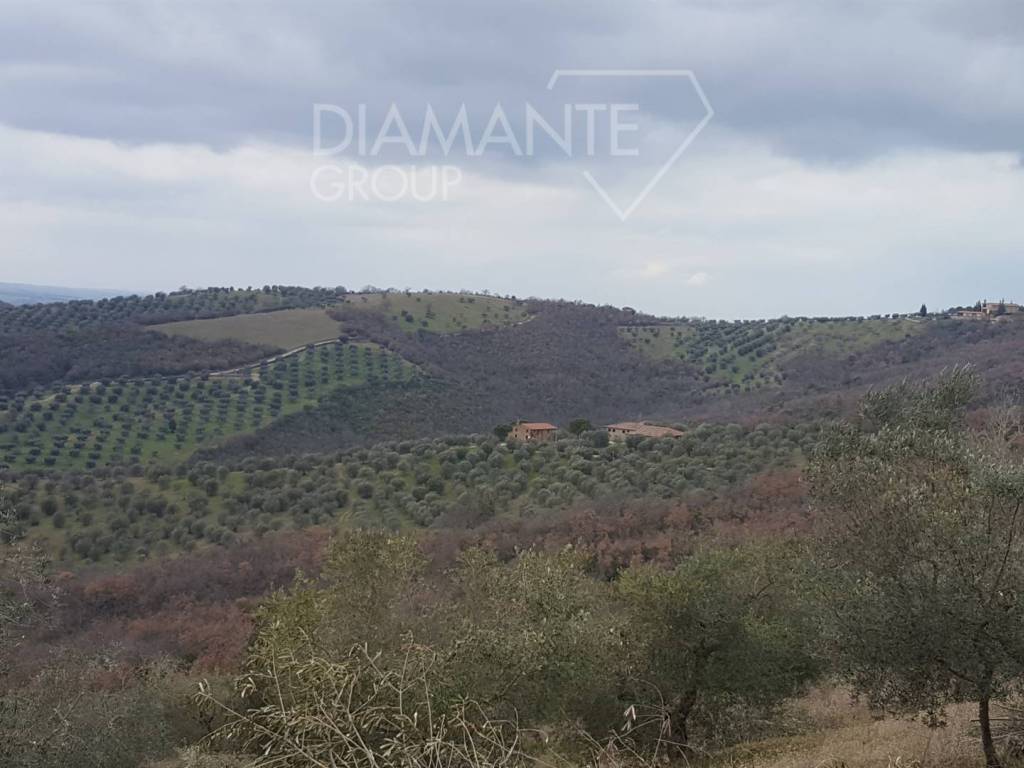 Rustico / casale a Panicale in Panicale - Foto 5