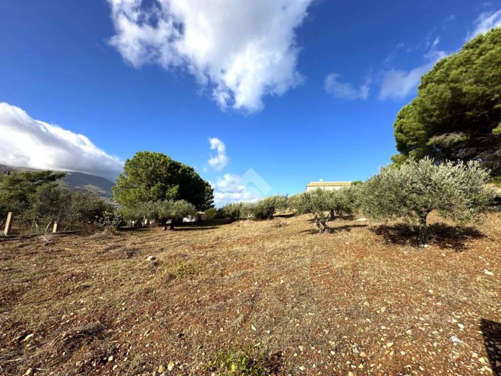 Villa a Castellammare del golfo in Contrada Ciauli - Foto 5