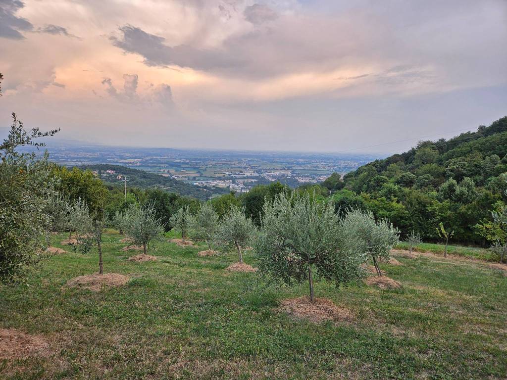 Terreno a Isola vicentina in Via Cogolla Alta - Foto 2