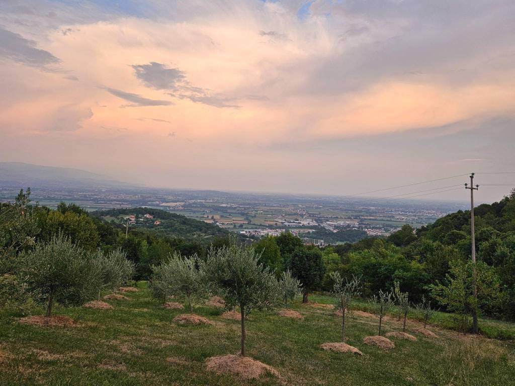 Terreno a Isola vicentina in Via Cogolla Alta - Foto 3