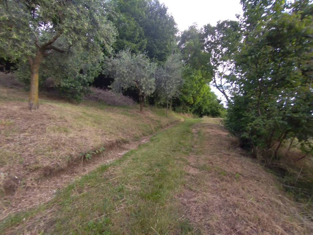 Terreno a Isola vicentina in Via Cogolla Alta - Foto 4