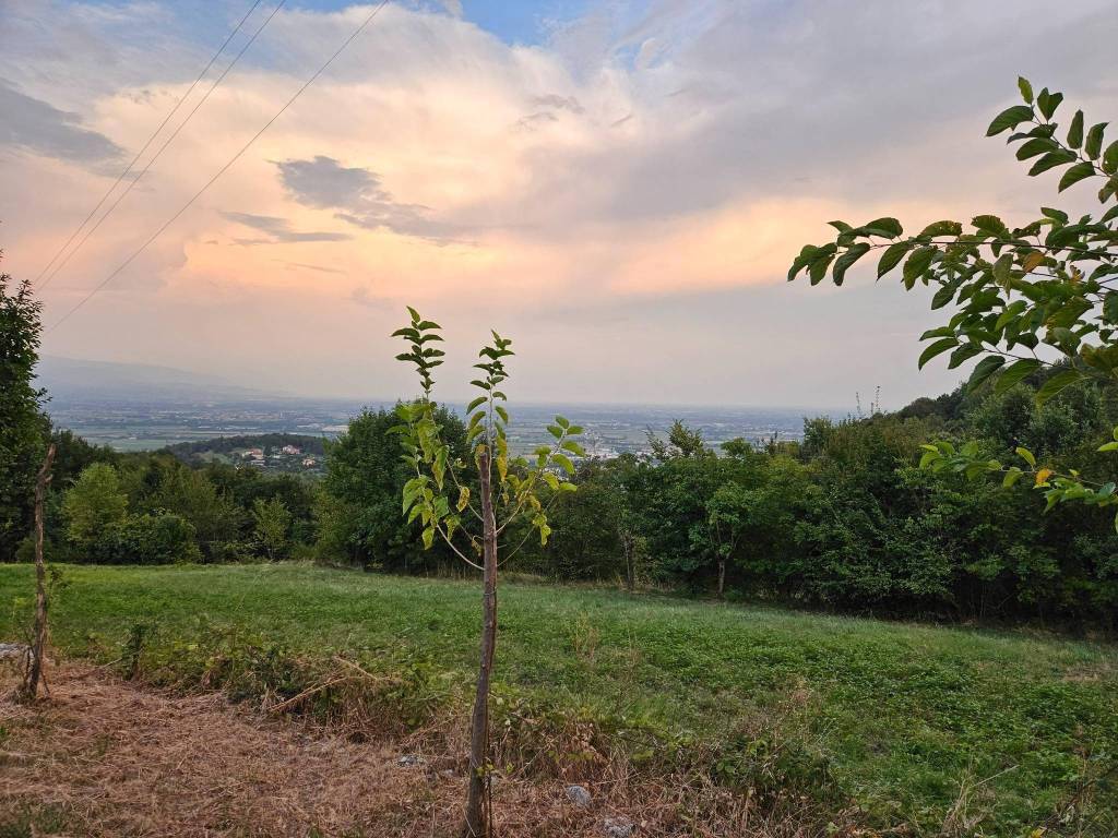 Terreno a Isola vicentina in Via Cogolla Alta - Foto 5