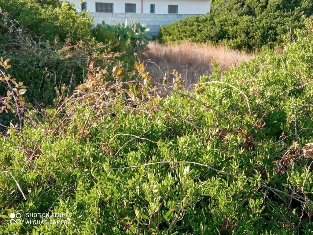 Terreno a Taranto in Strada La torretta s.n.c - Foto 2