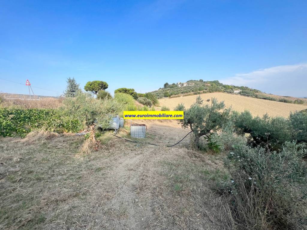 Terreno a Atri in Via Cavalieri del Santo Sepolcro, 28 - Foto 4