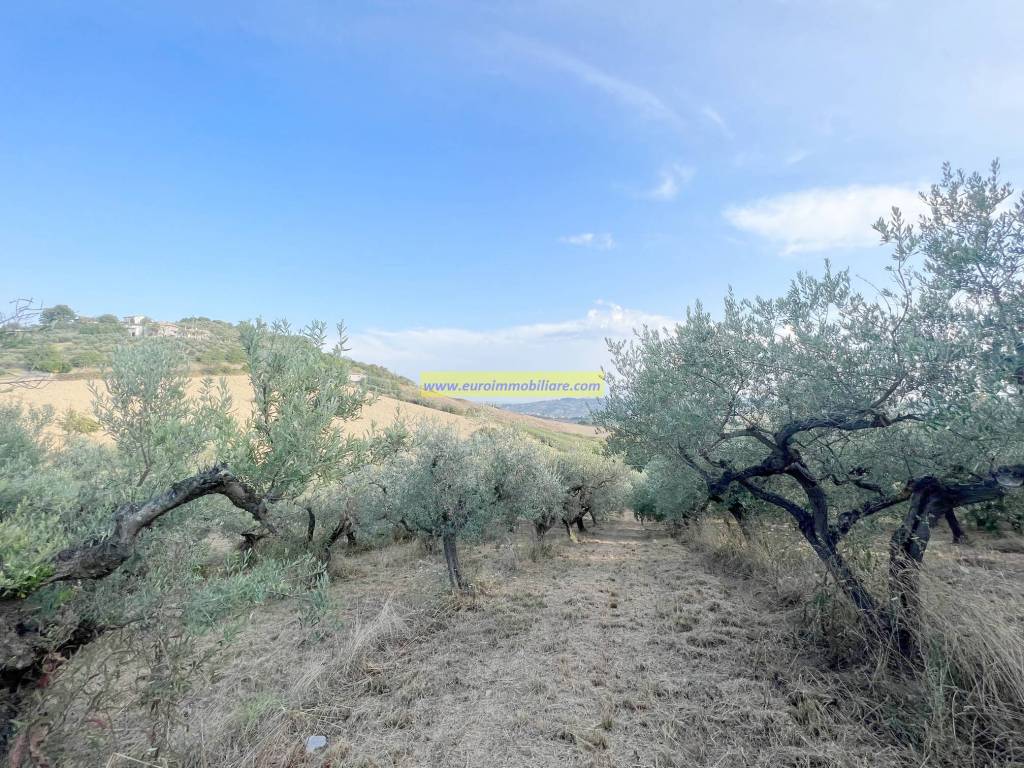 Terreno a Atri in Via Cavalieri del Santo Sepolcro, 28 - Foto 5