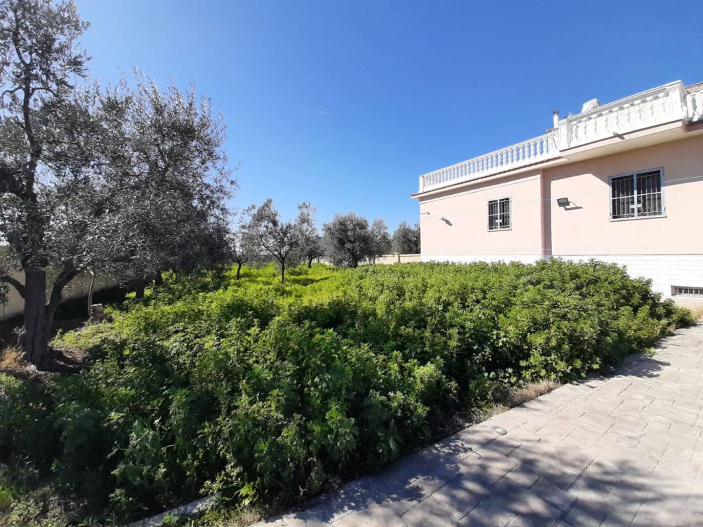 Villa a Barletta - Foto 4