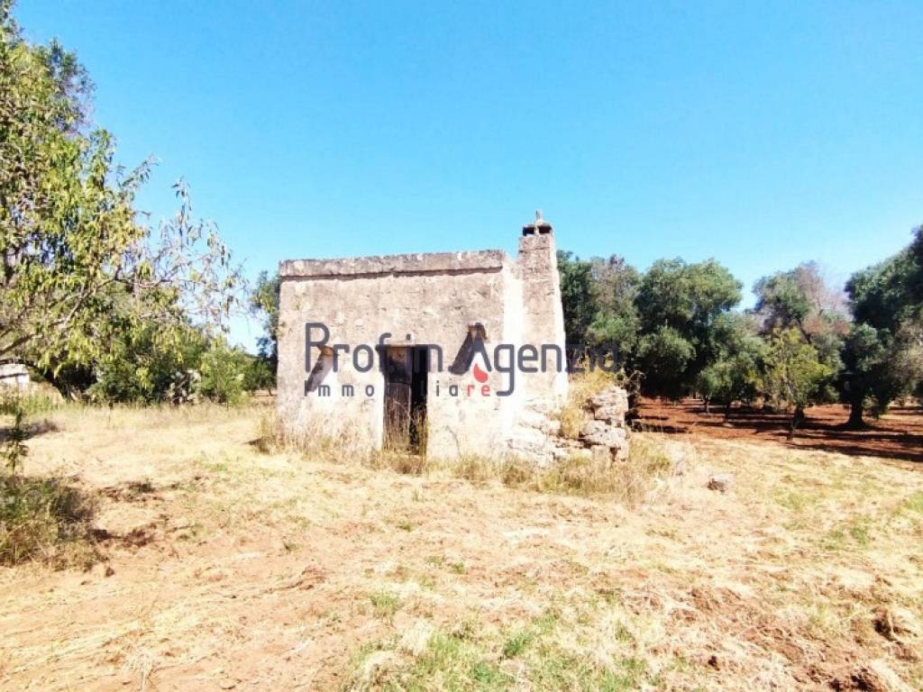 Rustico / casale a Carovigno - Foto 3