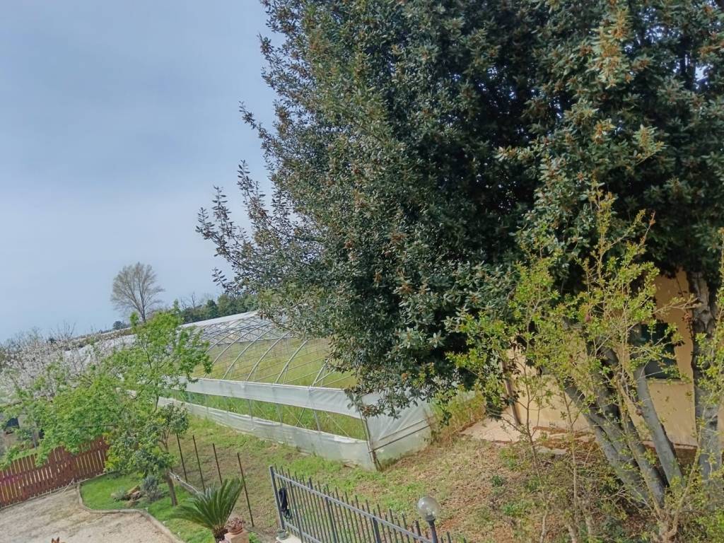 Terreno a Sermoneta in Via Le Pastine - Foto 4