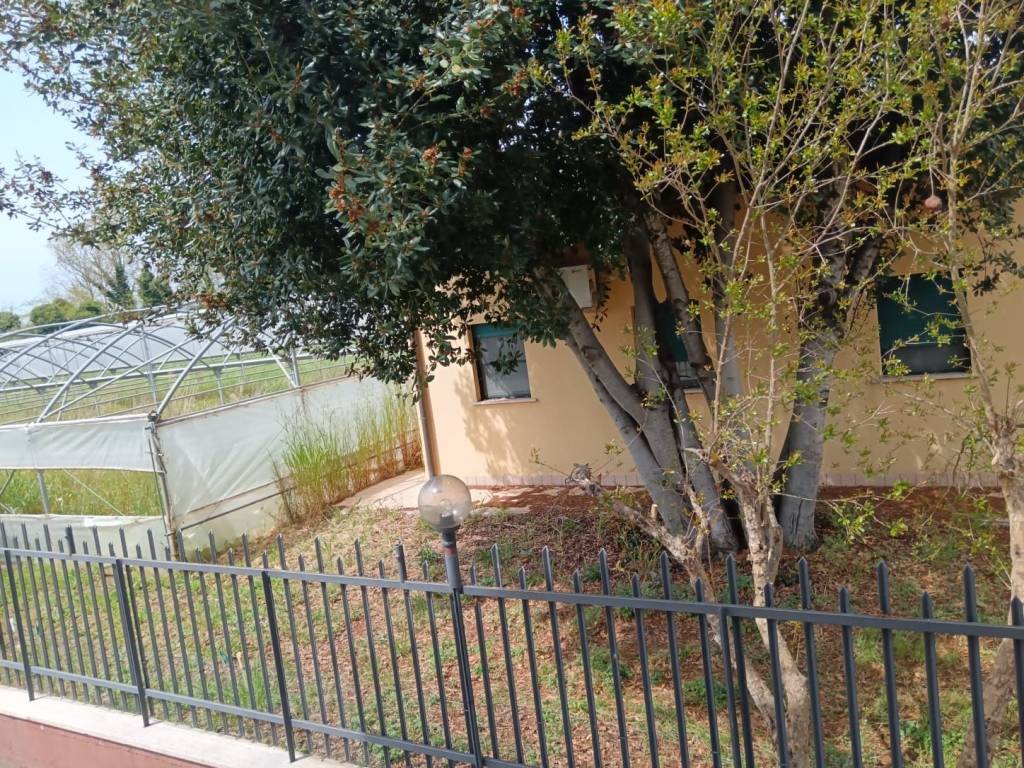 Terreno a Sermoneta in Via Le Pastine - Foto 5