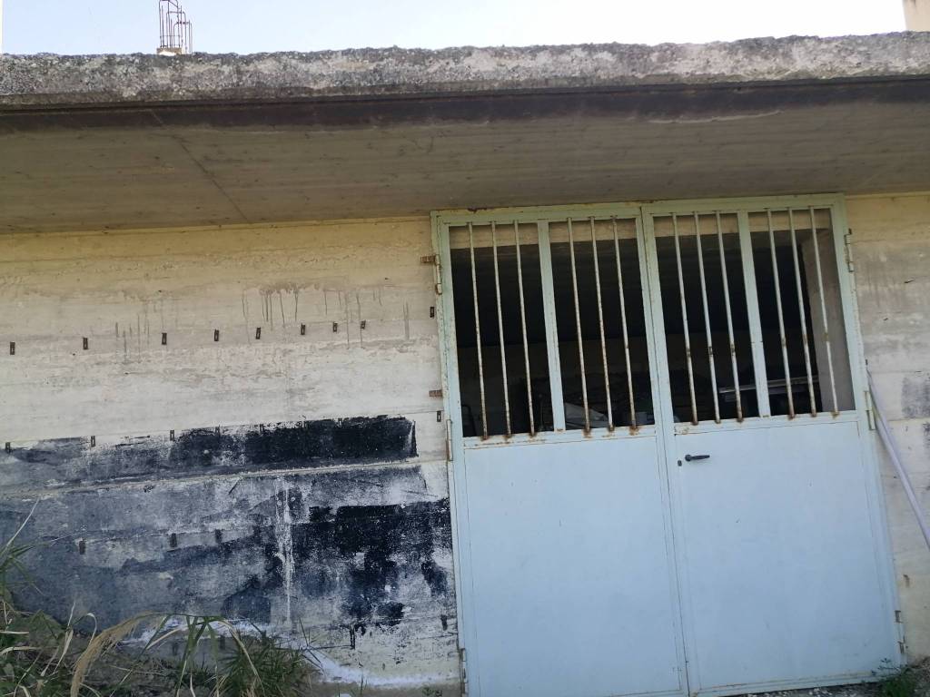 Terreno a Falerone - Foto 5