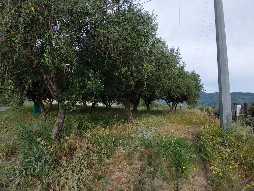 Terreno a Ascea in Via Tempa delle Case - Foto 3