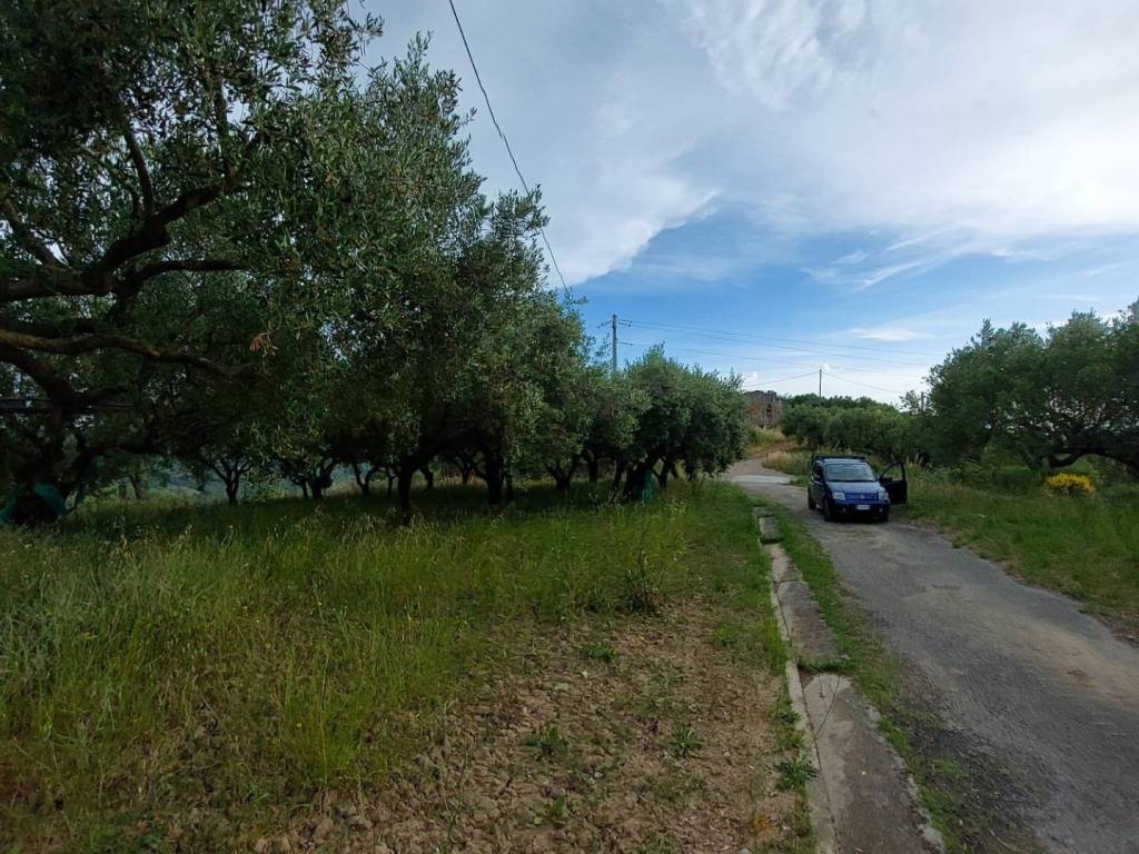 Terreno a Ascea in Via Tempa delle Case - Foto 4