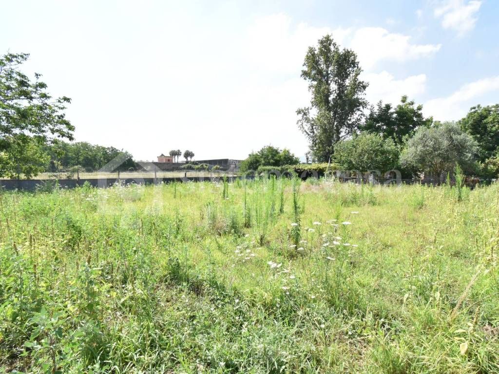 Terreno a Brusciano in Via Cimitero - Foto 4