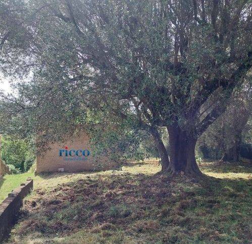 Terreno a Camerota in Via Infreschi - Foto 2
