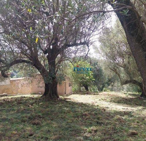 Terreno a Camerota in Via Infreschi - Foto 3