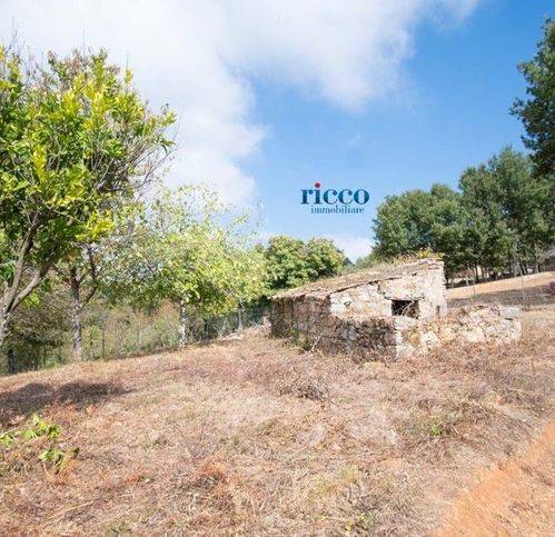 Terreno a Camerota in Località Buico - Foto 2