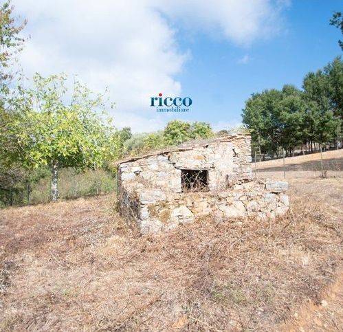 Terreno a Camerota in Località Buico - Foto 3