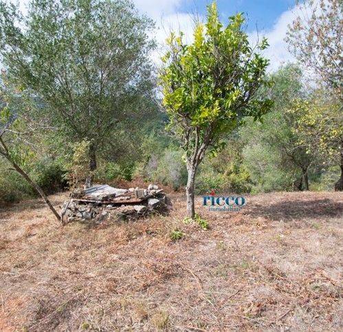 Terreno a Camerota in Località Buico - Foto 4