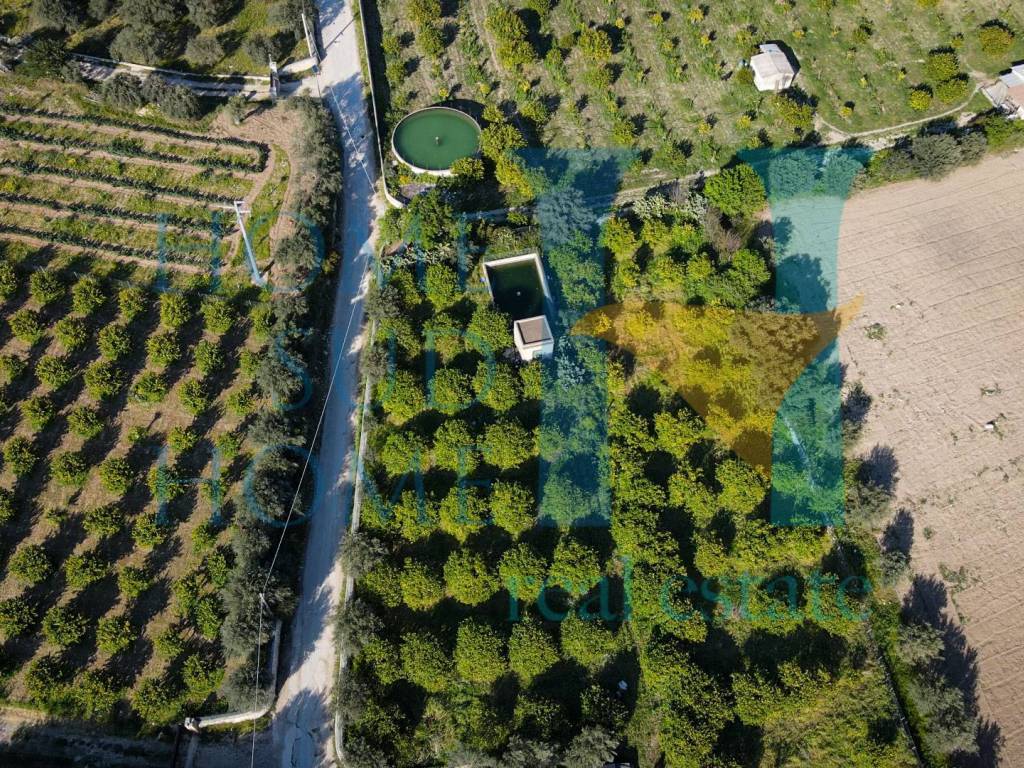 Terreno a Noto in Via Tommaso Fazello, 228 - Foto 2