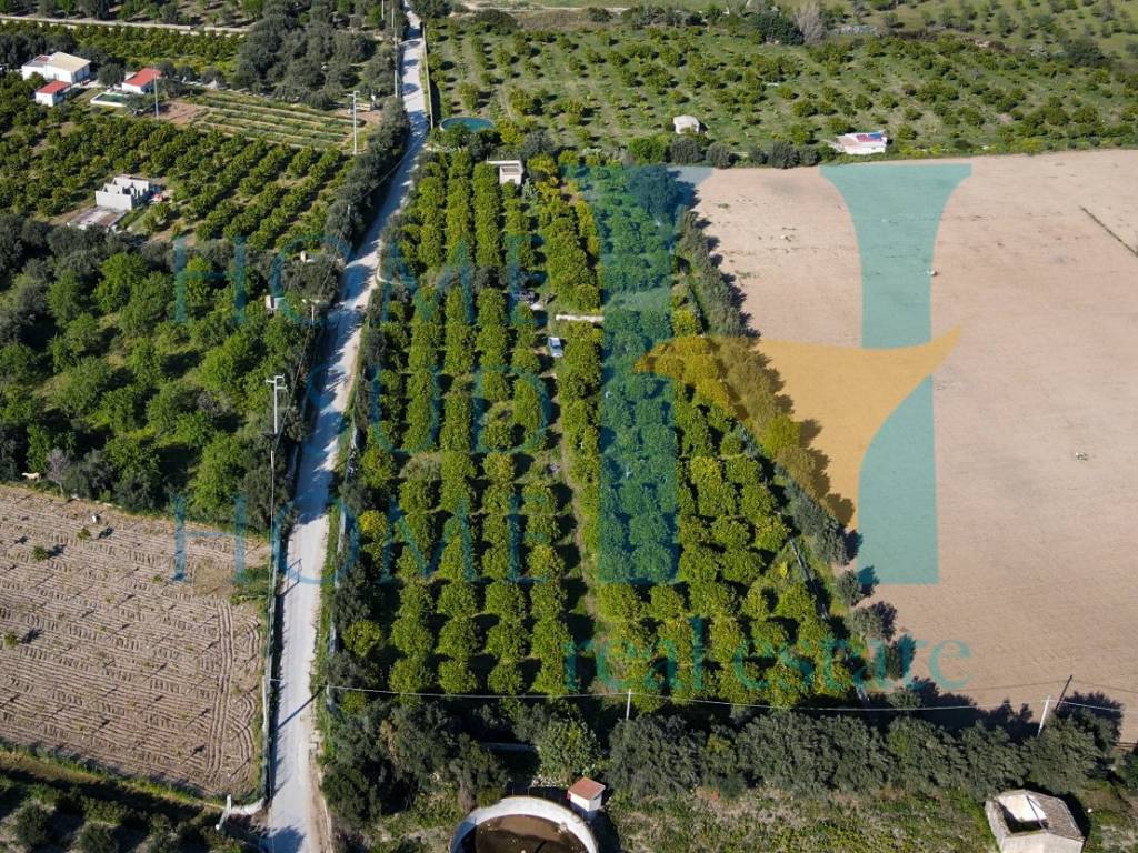 Terreno a Noto in Via Tommaso Fazello, 228 - Foto 4