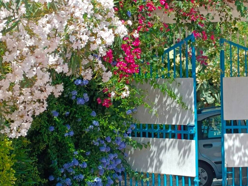 Villa a Joppolo - Foto 5