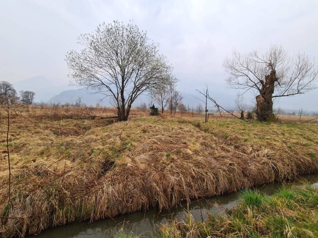 Terreno a Colico in Via Erbiola - Foto 2